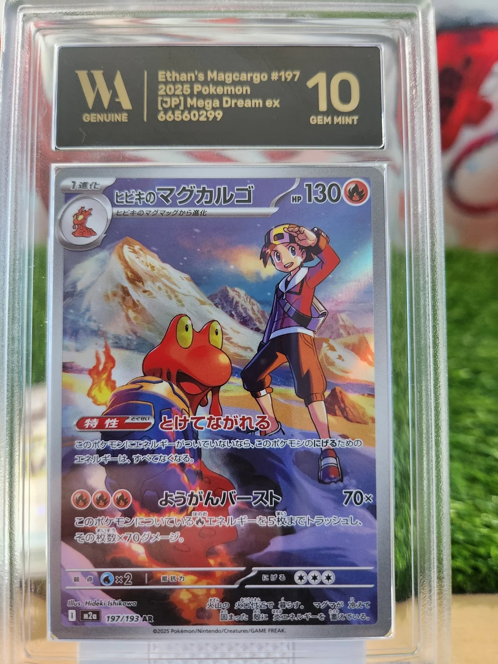 Pokemon Card Lot TCG And non TCG